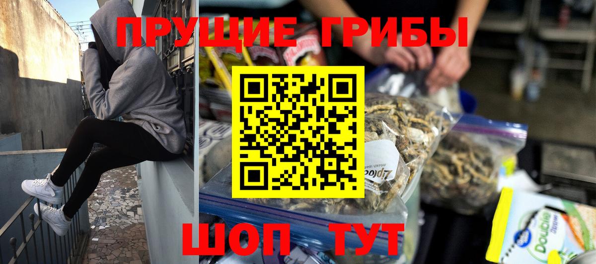 Псилоцибиновые грибы Psilocybe Жуковский