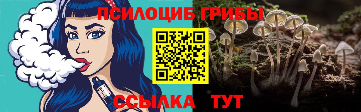 Жуковский  Псилоцибиновые грибы Magic Shrooms  Вход с VPN 
