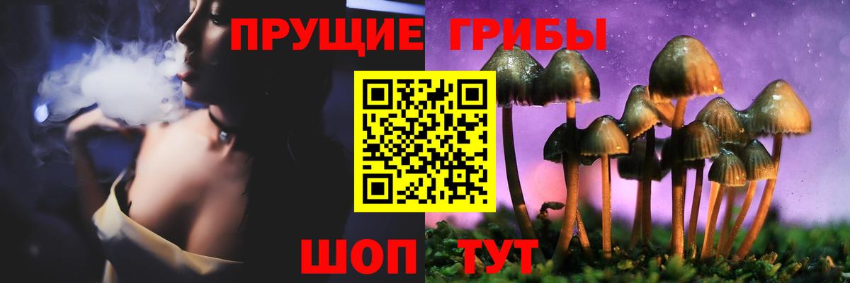 Галлюциногенные грибы Жуковский